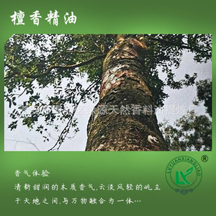 ̴sandalwood oil  ʿˮ޹yƷ̴ľ