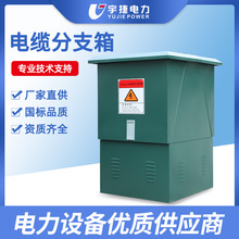 宇捷10 24 35KV歐式電纜分支箱DFW電纜轉接箱銅排不銹鋼對接箱