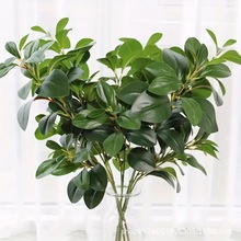 北歐清新仿真植物手感豆瓣葉家居裝飾擺件辦公室綠植盆栽花藝配材