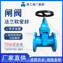 軟密封閘閥Z45X-16Q球墨鑄鐵法蘭彈性座暗桿閘閥海工閥門集團