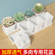跨境多肉專用花盆底座辦公桌面家用精致可拆卸托盤工廠直銷花盆