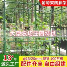 植物爬藤支架包塑鋼管黃瓜西瓜大型農場瓜果攀爬架桿葡萄架爬藤架
