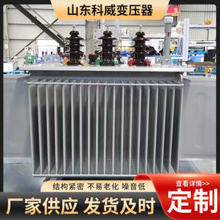 S11/S13ͽʽ׃1000/1250/2000KVA10/0.4KV׃