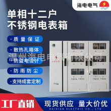 新國網江蘇款金屬配電箱家用防水掛壁式單相12戶不銹鋼計量電表箱