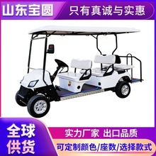 高爾夫球車電動觀光車機場擺渡車校園酒店樓盤接待車旅游觀光車
