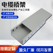 廠家直銷電纜橋架可定制電纜橋架耐火防火電纜線槽鍍鋅槽式橋架