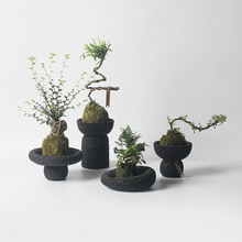 陶瓷水泥無孔花盆花插微景觀造景苔蘚植物多肉文竹金錢綠植茶桌