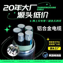鋁合金國標4*25高壓電線電纜YJLHV電力工業工程廠家批發電力電纜