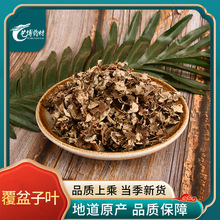 覆盆子葉批發大貨 各種規格中草葯量大從優質量保證覆盆子葉