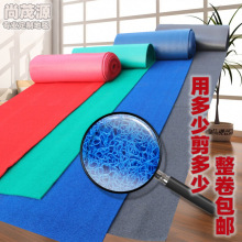 廠家卷材商用地毯批發 防滑防水進門腳墊 門口PVC寶麗美絲圈地墊