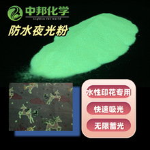 長效夜光粉環保無毒超高亮發光粉發光材料夜光油墨長效光亮廠家