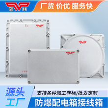 防爆接線箱配電箱照明動力控制櫃按鈕開關盒檢修端子儀表箱成套