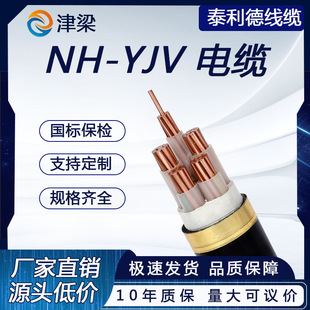 ̩ |NH-YJV 0.6/1kV ȼͻ|~о͉|