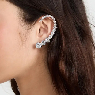 ·f荶hŮWԕrΰAĶh earring