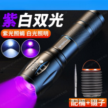 照蠍子紫光燈驗鈔燈395紫外線手電筒可充電大功率鑒定燈