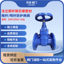 上海滬航 開維喜法蘭暗桿防護閘閥Z45T-16Q明桿防護閘閥Z41T-16Q