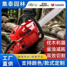 廠家直銷伐木汽油鋸大功率家用鏈鋸小型電鋸伐木切割機工具批發