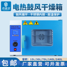 鼎鑫宜電熱恆溫鼓風干燥箱實驗室小型食品烘干工業中葯材大燈烤箱