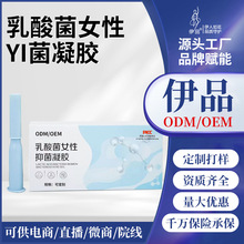 定制乳酸菌凝膠私密水潤護理凝膠私處干澀補水益生菌抑菌養護