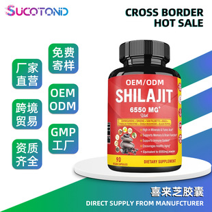 Y|Rȫ ϲ֥z Shilajit capsules NOEM ֿ֧羳