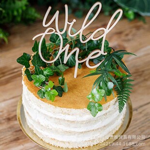 ľ|oneƃͯ1ܚqɌõWild one cake topper