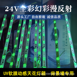 LED24VȫrgbòR҃ܛĤ컨ԴӲl