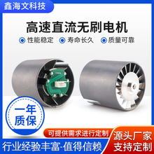 工廠靜音高速53mm直流無刷微型電機80000轉高速吹風機馬達