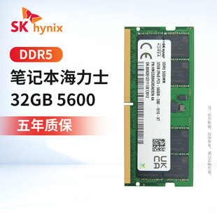 PӛʿDDR5 32G 16G 8G 5600 4800 Αl늸ȴl