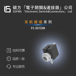 TPJ-301DMCLONGQIAN-MicDE/V80213SS05Q