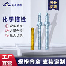 化學錨栓鍍鋅建築膨脹錨固螺栓幕牆用定型葯劑高強度不銹鋼304316