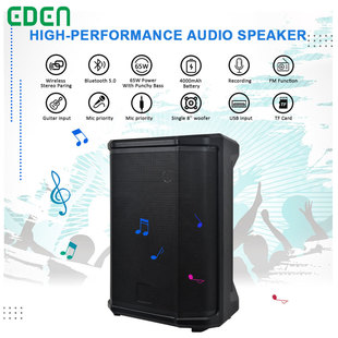 EDEN pa audio system sound speakers bluetooth PA8-1