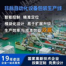 自動包裝流水線自動化設備設計倍速鏈流水線輸送自動包裝線