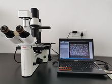 Leica/徠卡倒置顯微鏡DMIL 徠卡生物顯微鏡 徠卡顯微鏡