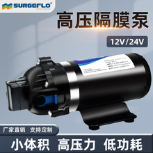 DP-160高壓力隔膜泵12v24v小型農葯噴霧凈水器壓路機地暖清洗車泵