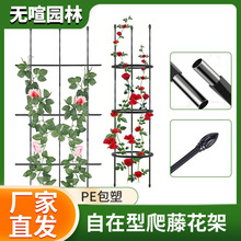 花盆陽台鐵線蓮攀爬架藤本植物花架園藝花架綠蘿爬藤架支撐支架