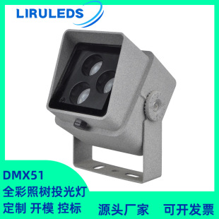 LEDȫʑ߉DMX512Ⱦɫ RGBLɫ՘Շ8WͶ