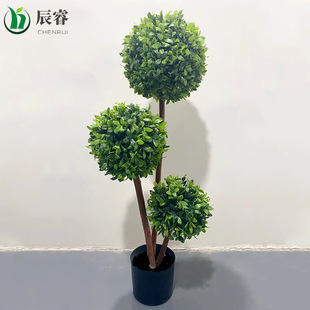 ֲmXβݘGֲSimulation green plant羳