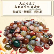 原石瑪瑙石彩色顆粒瑪瑙石批發 大小規裝飾花盆鋪面魚缸五彩石