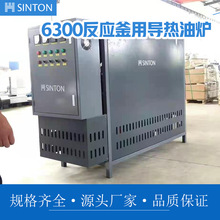 廠家直供 6300反應釜用導熱油爐 電加熱導熱油爐加熱瀝青