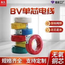 永久國標電源線純銅芯線阻燃ZR-BV10 16 25平方電線電纜家裝硬線