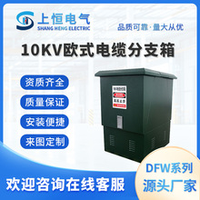 廠家直銷 電纜分支箱 高分箱 10kv歐式電纜分接箱一進二三四五出