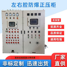 正壓型左右腔防爆正壓櫃不銹鋼防爆電器控制櫃正壓型防爆配電箱