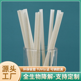 東莞廠家定做竹纖維全降解一次性吸管尖頭奶茶咖啡粗細吸管批發