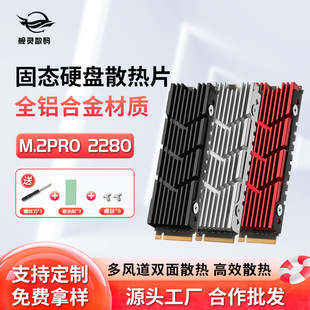 Ş`M2Pro M.2̑BӲPɢPS5b2280 NVMe SSDɢR