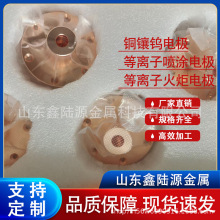 鑫陸源 銅鑲鎢鑲銀電極 等離子陰極陽極火炬頭 耐用可靠之選
