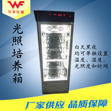 供應250L數顯光照培養箱 恆溫培養箱智能光照培養箱植物生長箱