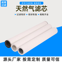 天然氣濾芯廠家直供聚酯纖維燃氣氣液過濾器聚結分離濾筒