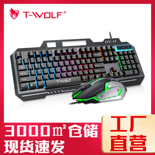 T-WOLFTF600IbUSBlkeyboardF䓰T16IP