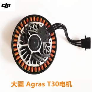 DJI T30늙C10018/77KVrICOriginal Agras T30 Motor