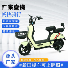 跨境海外東南亞中亞外貿源頭工廠二輪電動自行車電動摩托車電瓶車